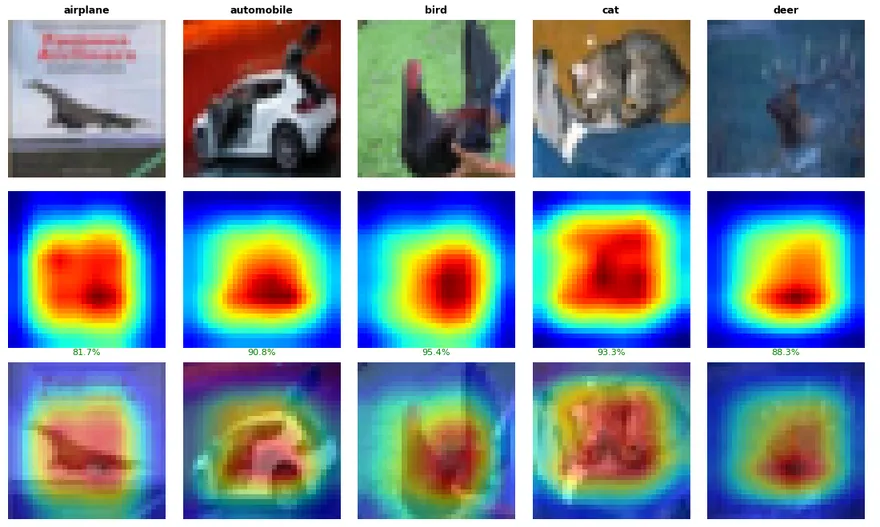 Fig. Grad-CAM — where the network looks